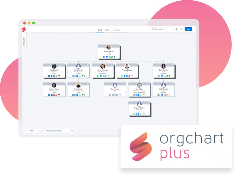 Org Chart Plus org chart