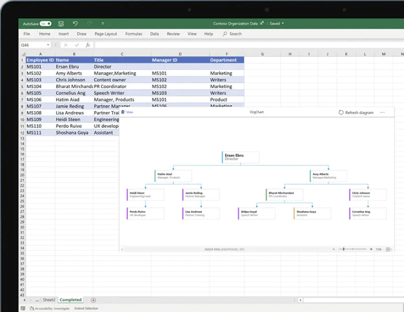 Microsoft Visio org chart